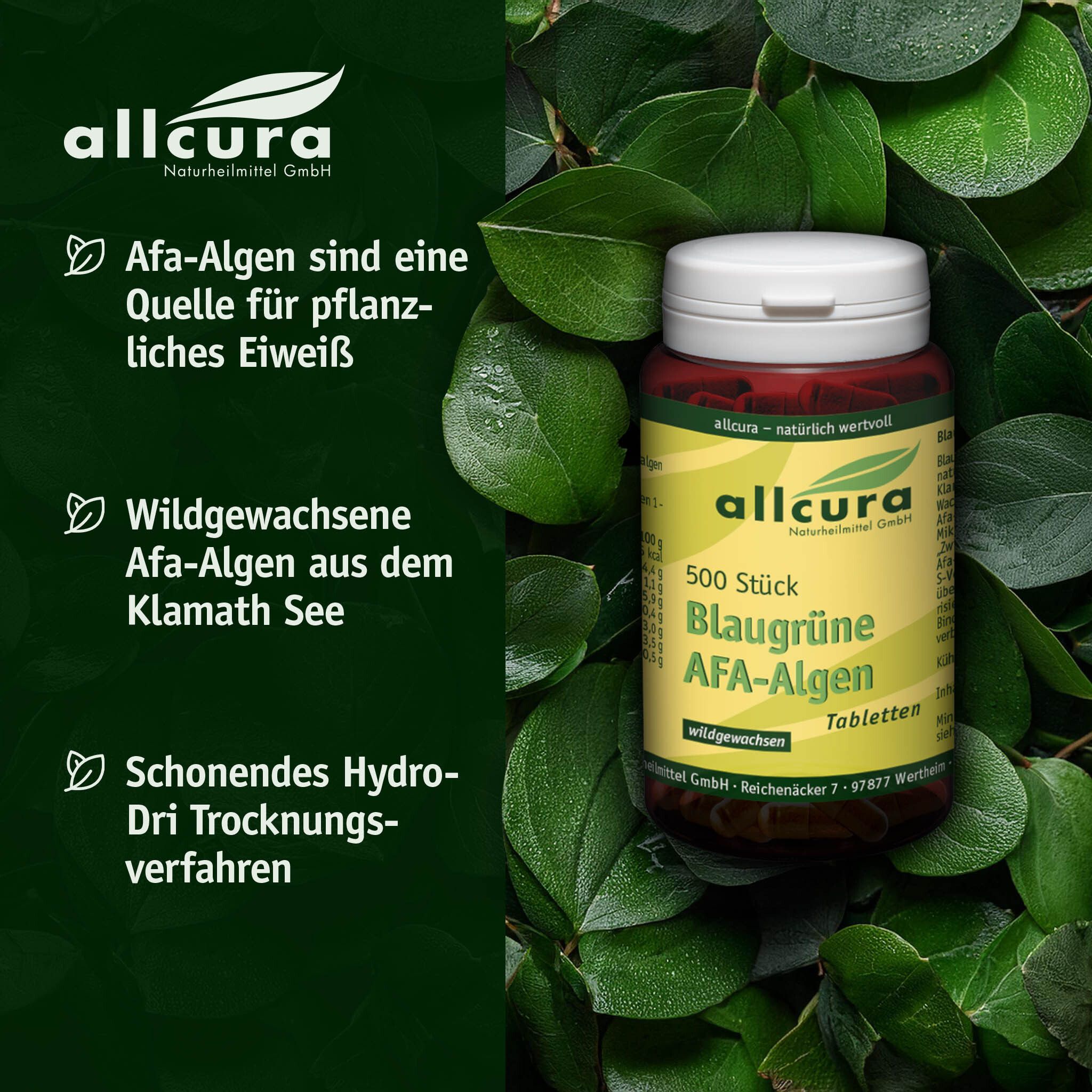Braune Tablettenflasche mit weißem Deckel, umgeben von grünen Blättern. Text: AFA-Algen sind eine Quelle für pflanzliches Eiweiß.