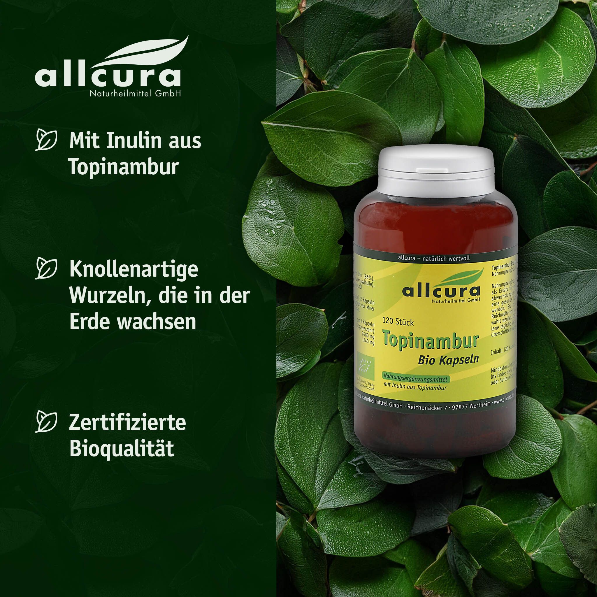 allcura Topinambur Kapseln