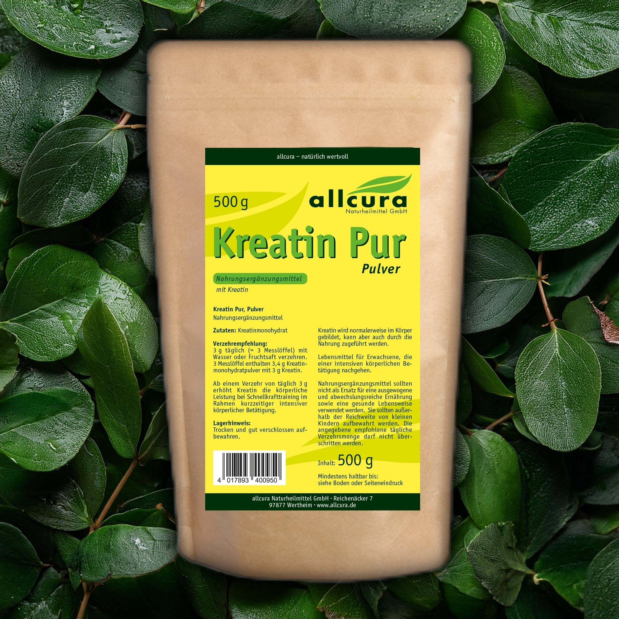 Braune Verpackung mit allcura Kreatin Pur Pulver. Gelbes Etikett mit Text. Grün umgeben. Text: Kreatin Pur Pulver, 500g.