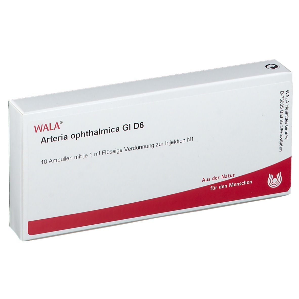 WALA® Arteria ophthalmica Gl D 6