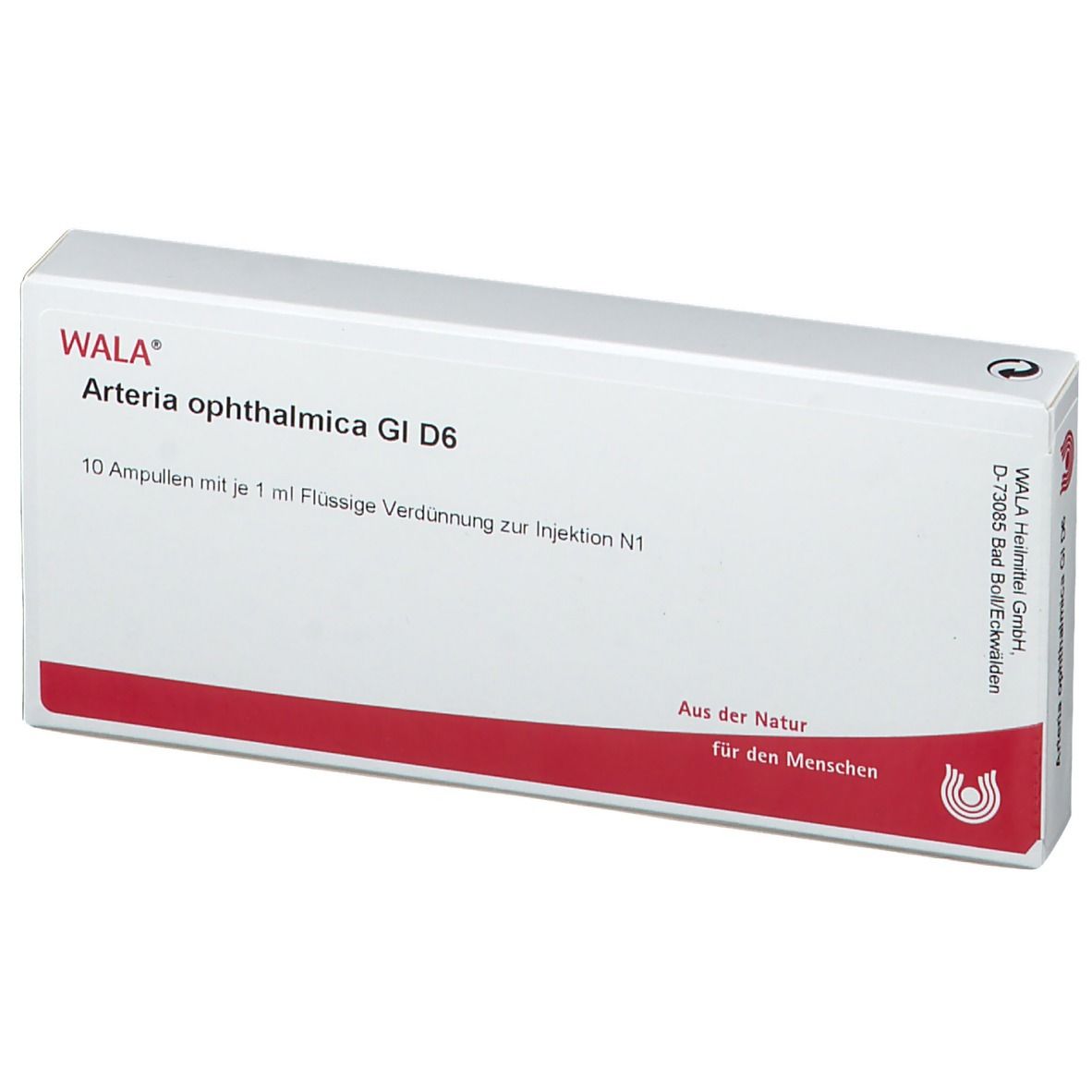 WALA® Arteria ophthalmica Gl D 6