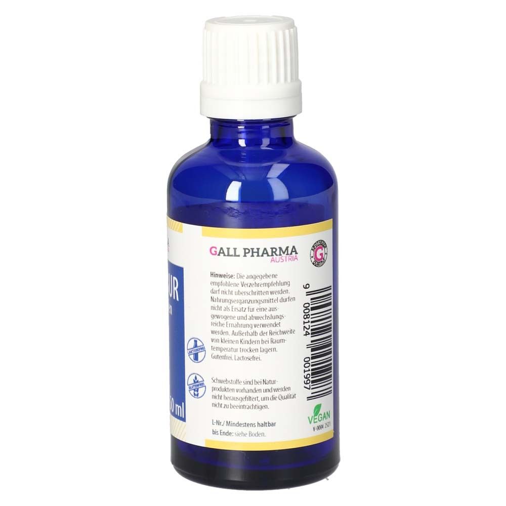 Rückansicht der blauen Glasflasche mit weißem Verschluss. Beschriftung: Topinambur Plus GPH Tropfen. Etikett mit Text und Vegan-Siegel. Marke: Gall Pharma.