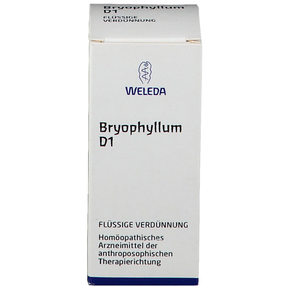 Bryophyllum D1 Dilution