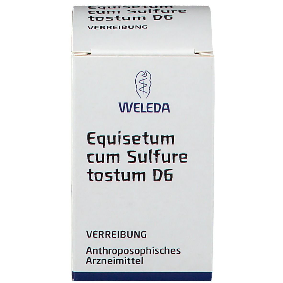 Equisetum Cum Sulfure Tostum D6