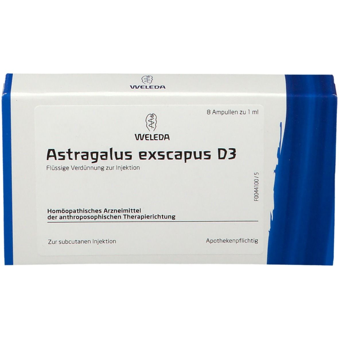 Astragalus Exscapus D3 Ampullen