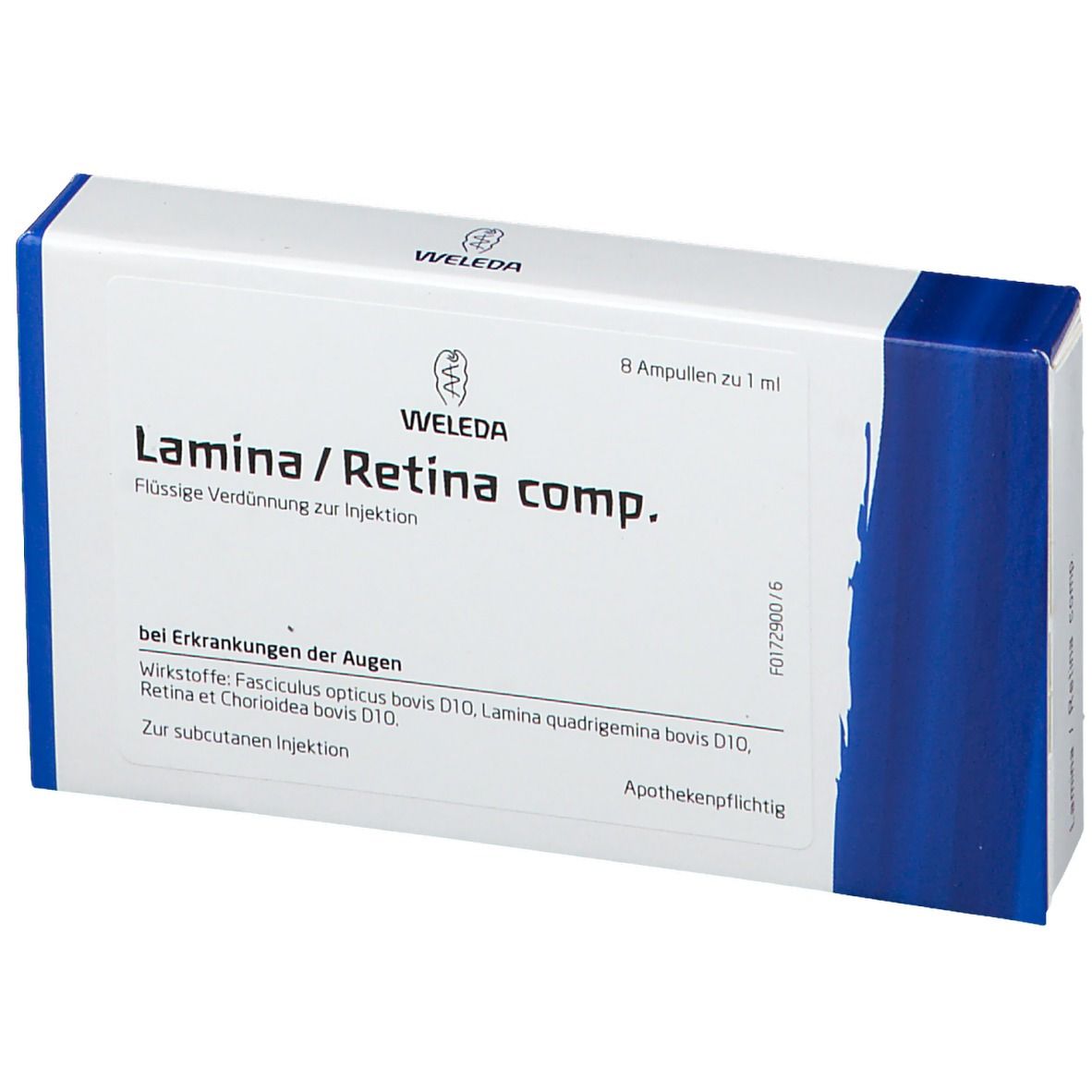 Lamina / Retina Comp. Amp.