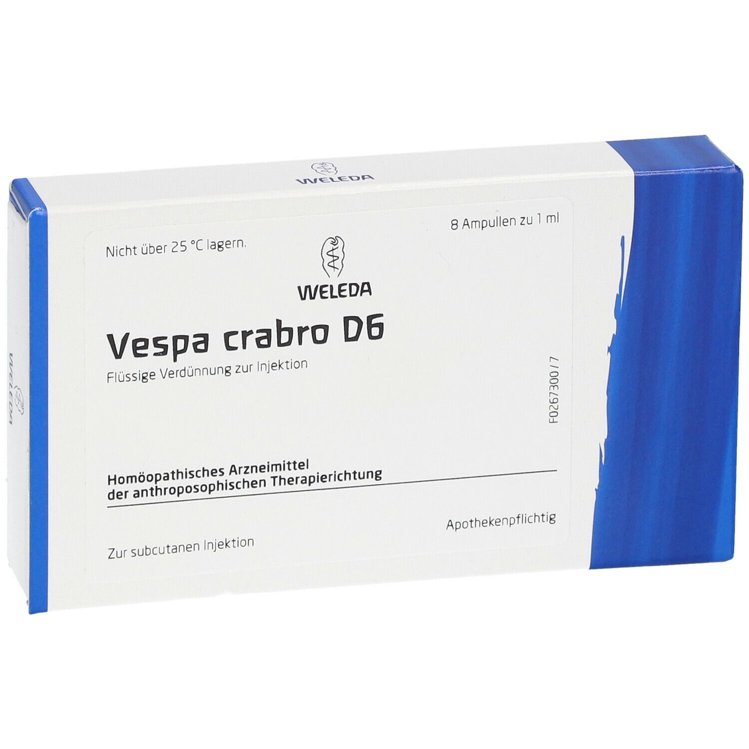 Vespa Crabro D6 Ampullen