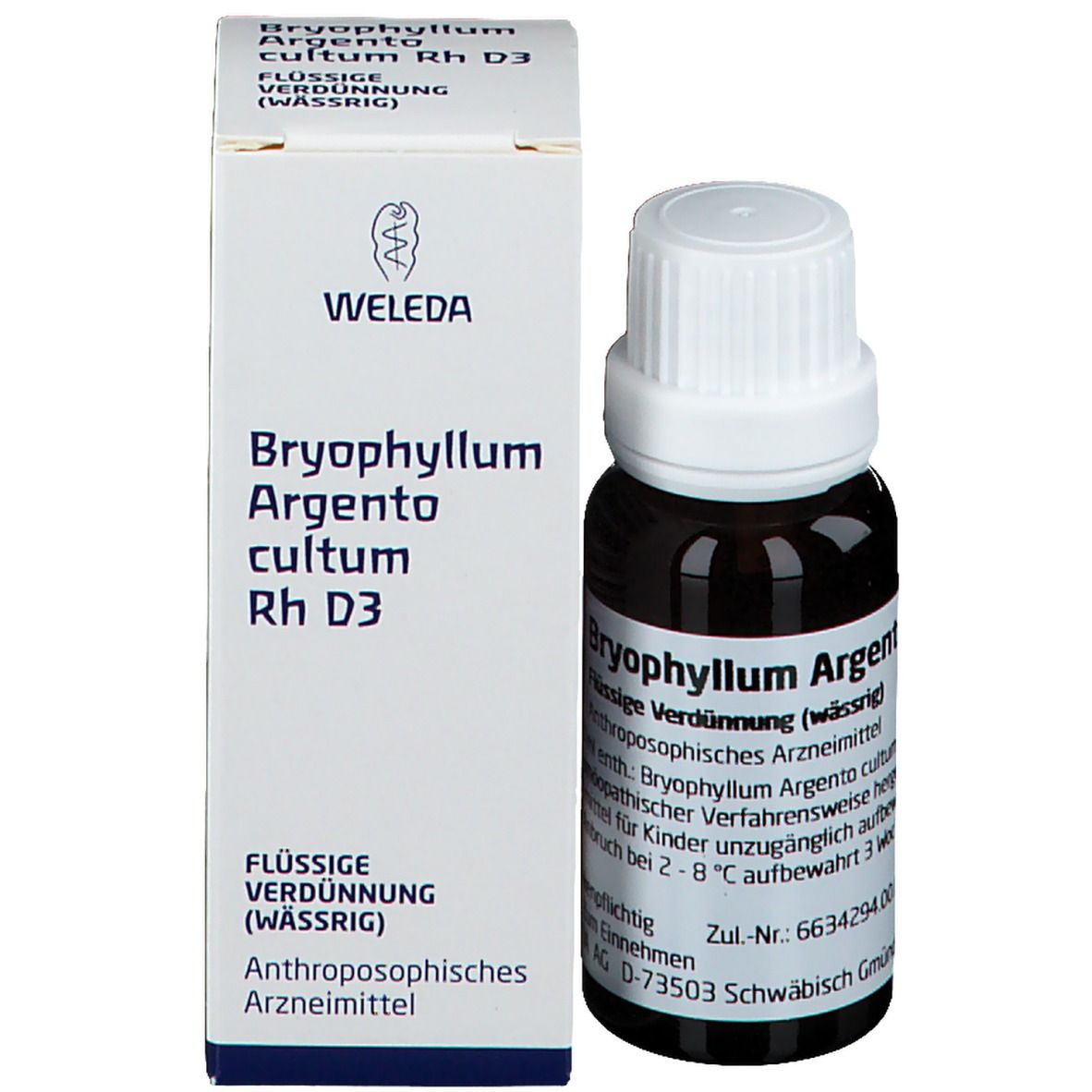 Byophyllum Argento cultum Rh D3