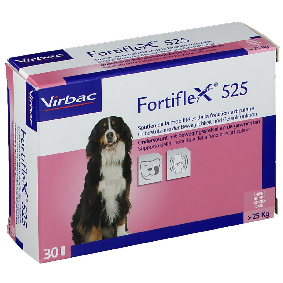 Fortiflex 525 Tabletten vet. 30 St