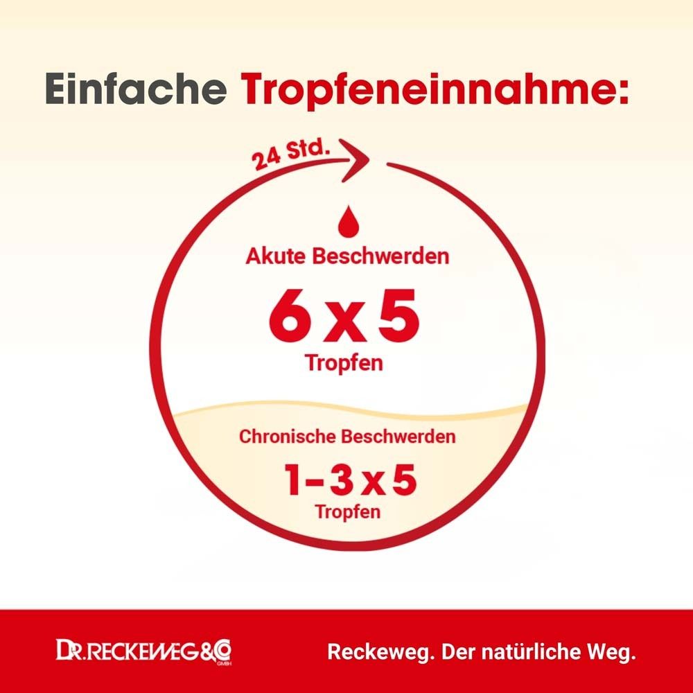 Kreisförmige Darstellung der Tropfeneinnahme. Akute Beschwerden: 6x5 Tropfen. Chronische Beschwerden: 1-3x5 Tropfen.