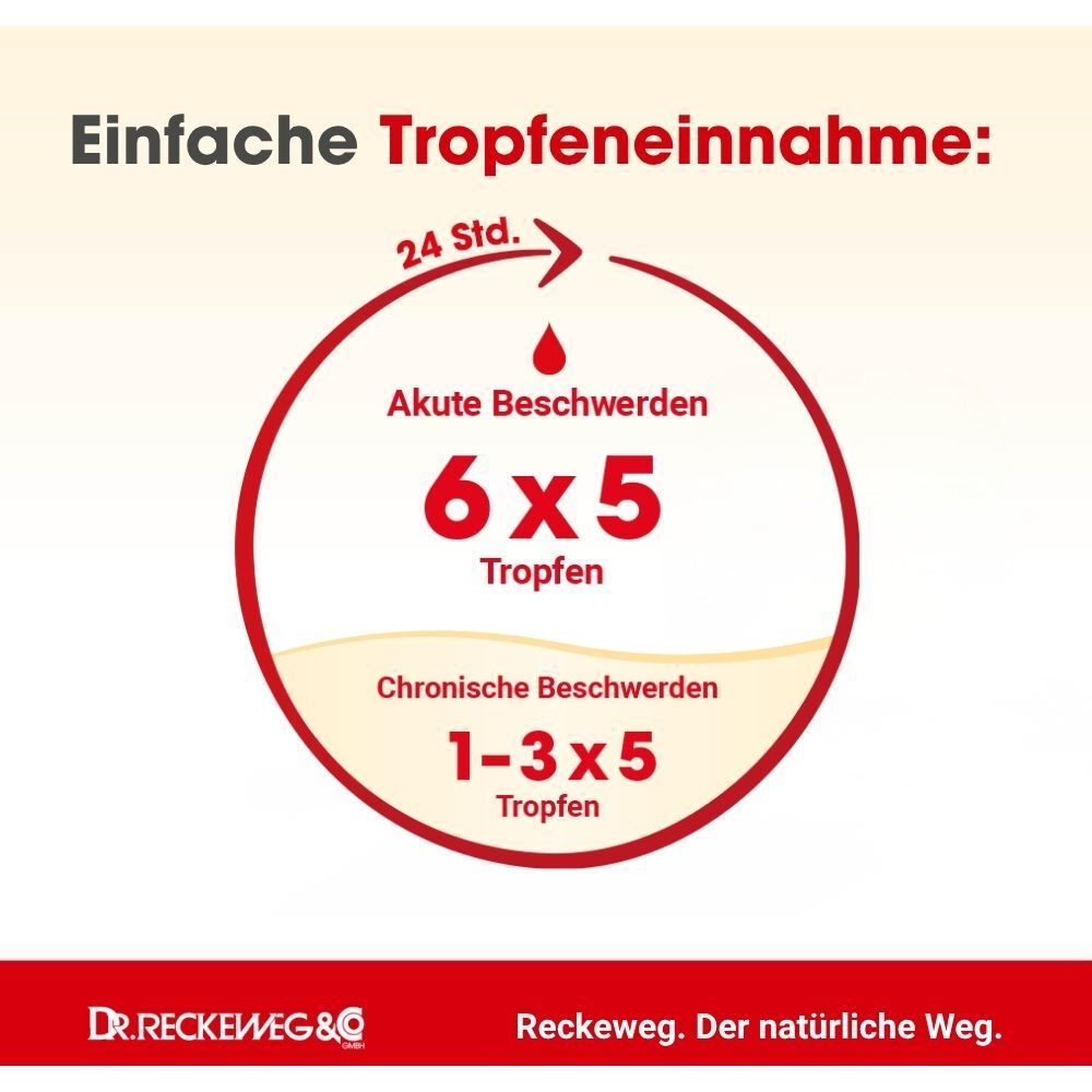 Grafische Darstellung der einfachen Tropfeneinnahme von Dysmenorrhoe-Gastreu® S.