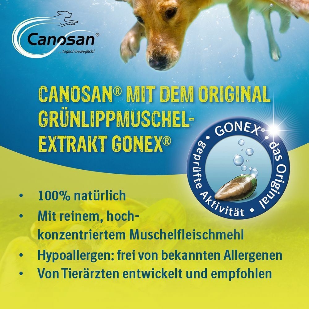 Canosan® Kautabletten bei Gelenkproblemen Hund mit Grünlippmuschel-Extrakt Gonex®
