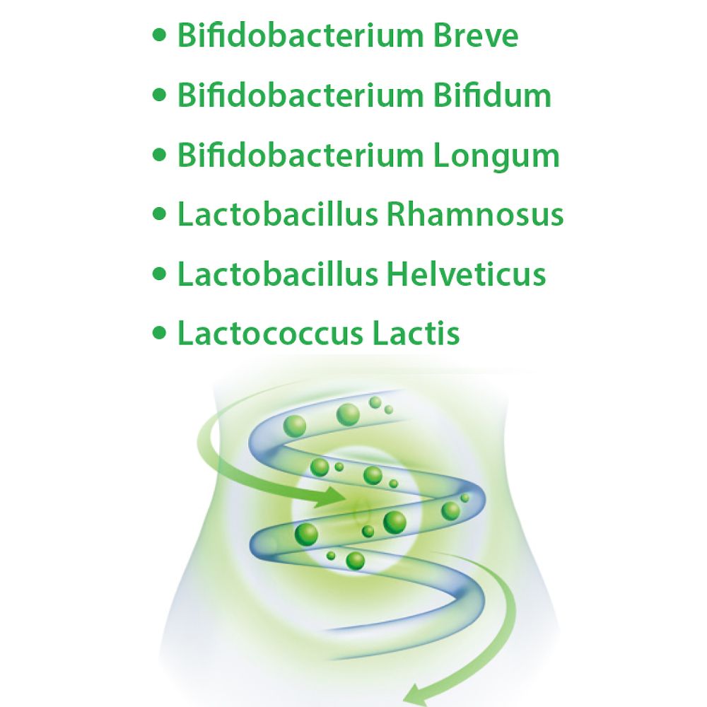 Dr. Jacob's LaktoBifido Darmflora-Kapseln mit Milchsäurebakterien
