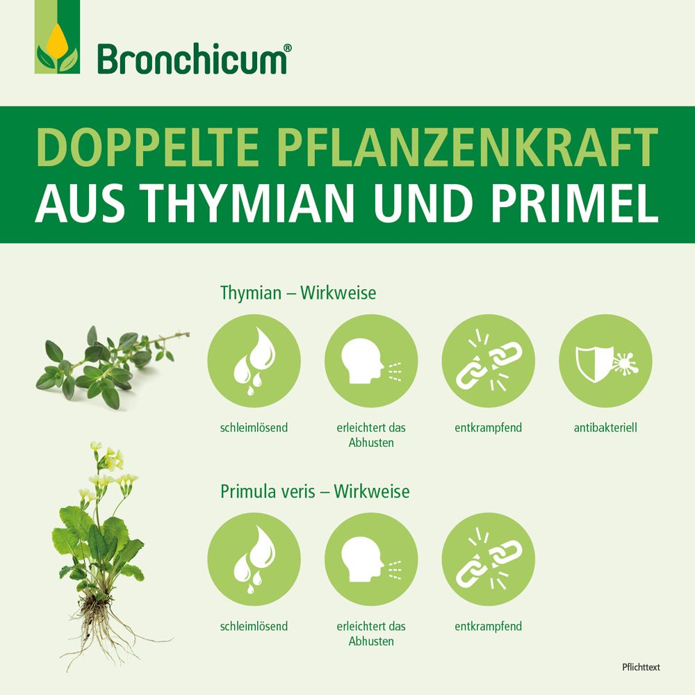 Bronchicum Tropfen - Pflanzliche Erkältungstropfen bei Husten und akuter Bronchitis