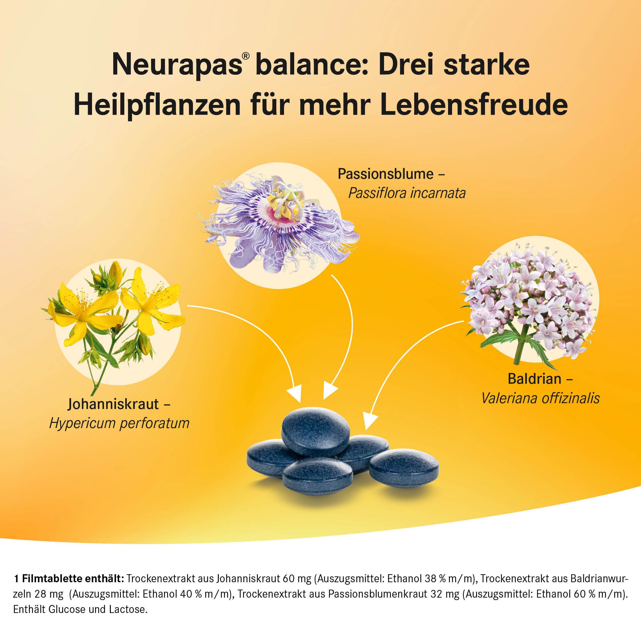 Neurapas® Balance