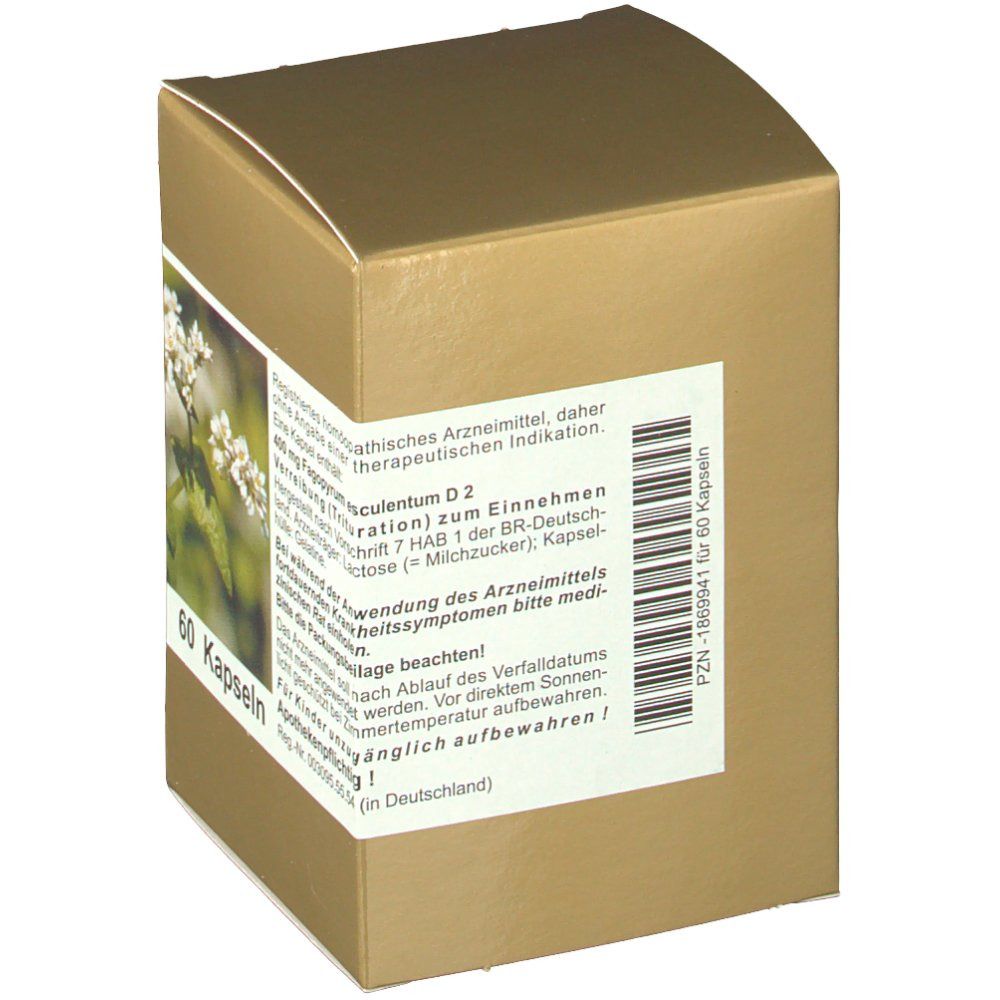 Vital Nutrition´s Buchweizen Kapseln