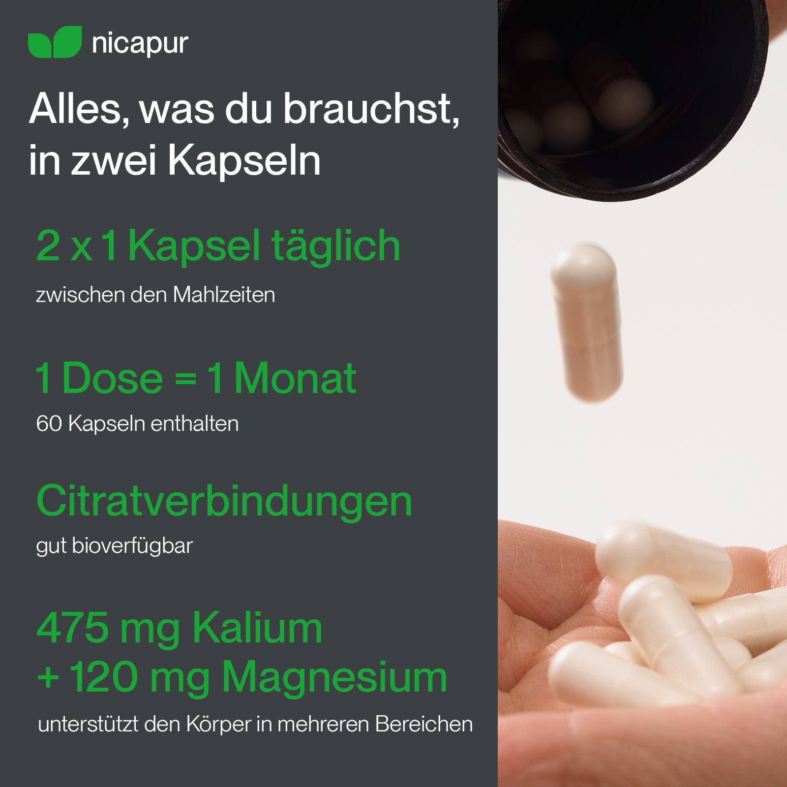 Weiße Kapseln mit Kalium und Magnesium, 60 Kapseln pro Dose.