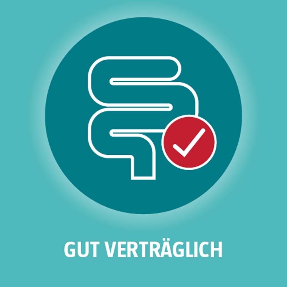 Rundes Icon mit Darm-Illustration und Haken. Text: Gut verträglich.