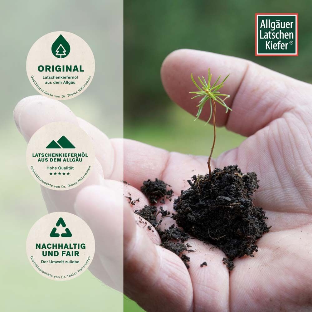 Hand hält Setzling. Logos: Original, Latschenkiefernöl, Nachhaltig und Fair. Hintergrund: Erde.