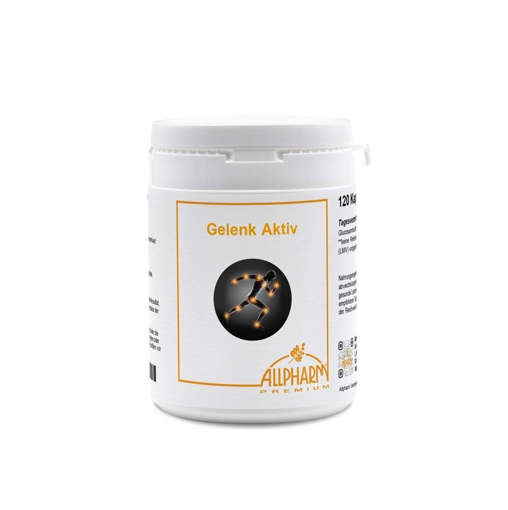 Gelenk-Aktiv 120 St Kapseln