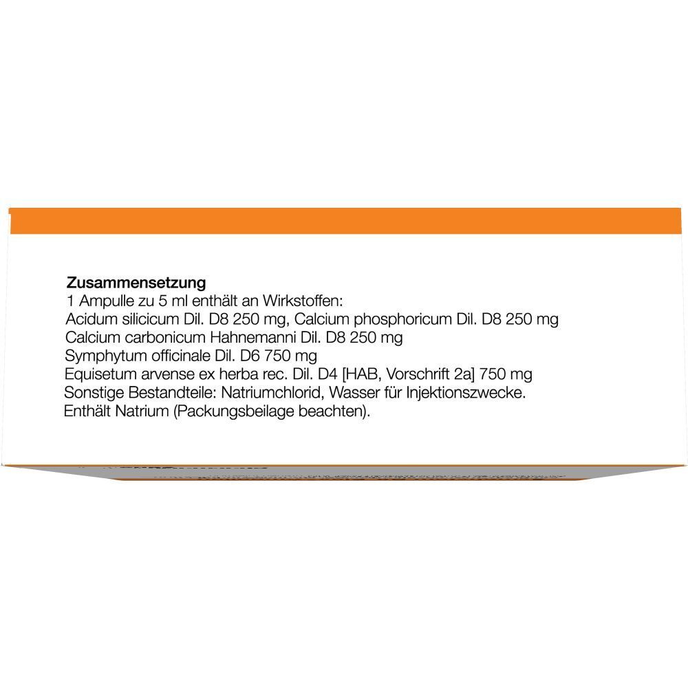 Zusammensetzung der Symphytum Rö-Plex Ampullen. Auflistung der Wirkstoffe und Inhaltsstoffe auf weißem Hintergrund.