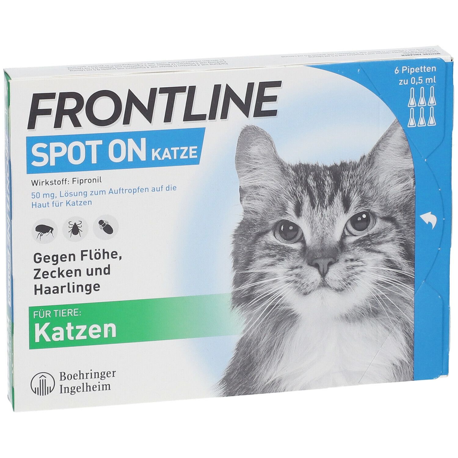 Frontline Katze 3