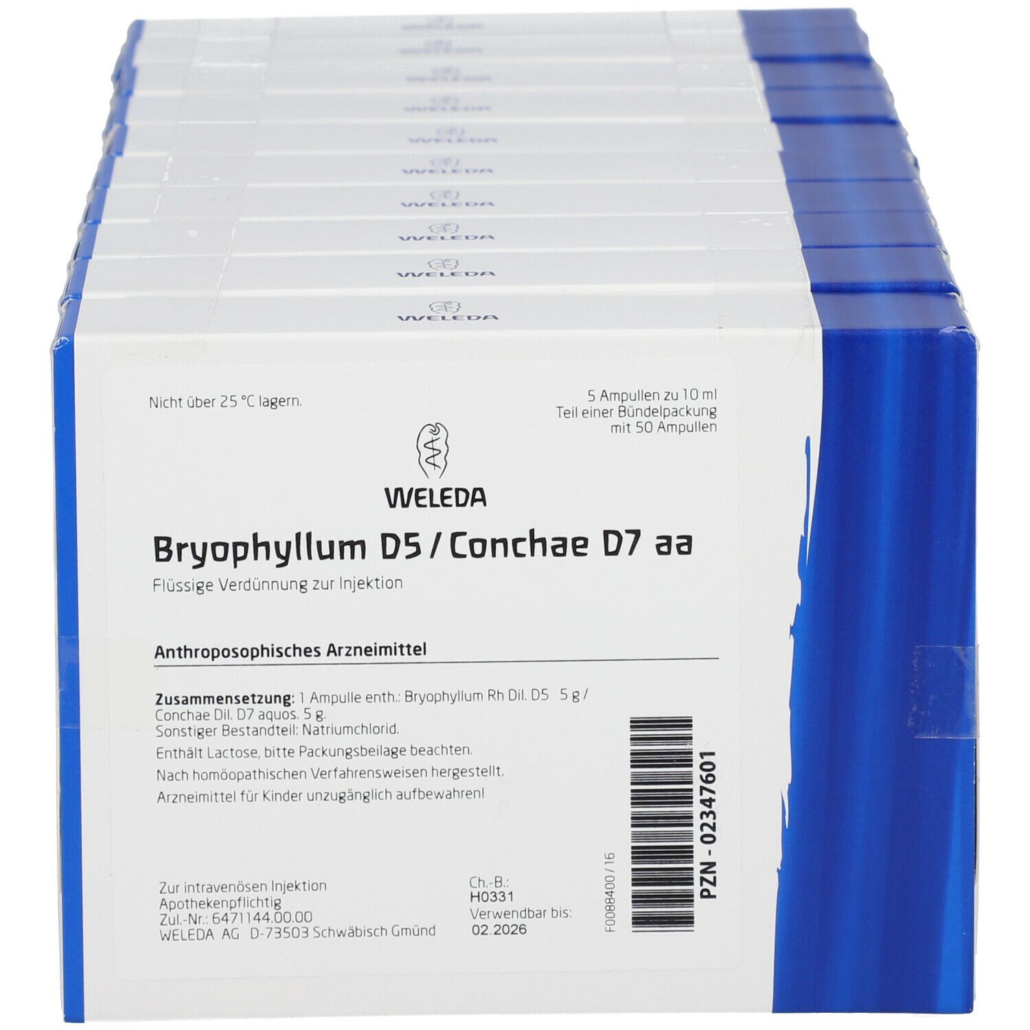 Bryophyllum D5 / Conchae D7