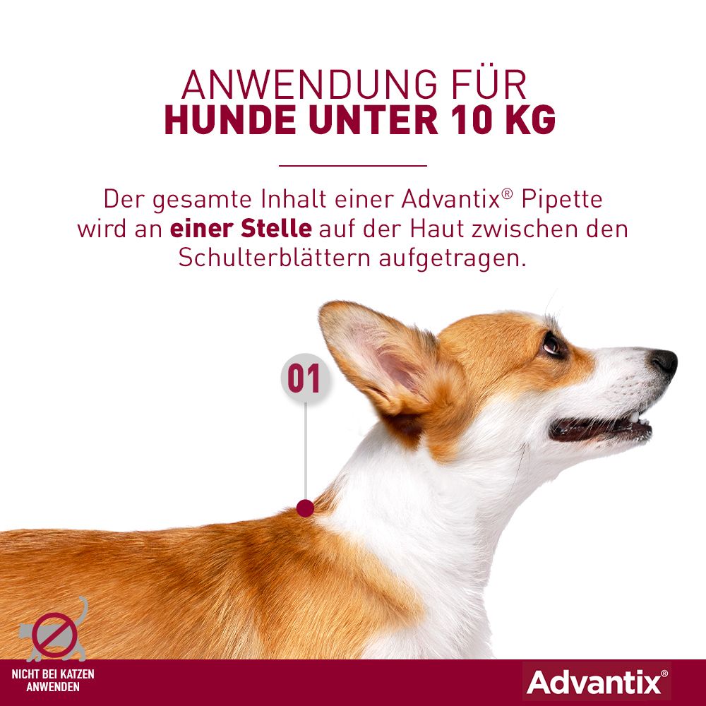 Advantix Spot on fur Hunde 4 10 kg 4 St Shop Apotheke