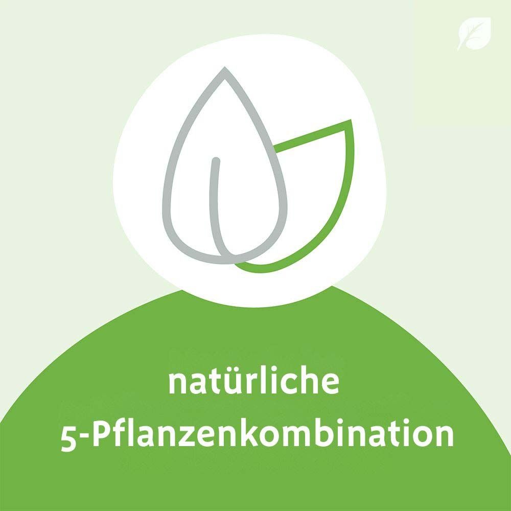 Logo mit Blättern. Text: natürliche 5-Pflanzenkombination.