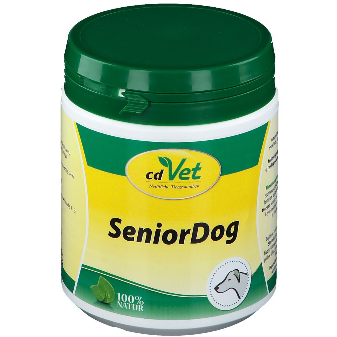 Senior Dog