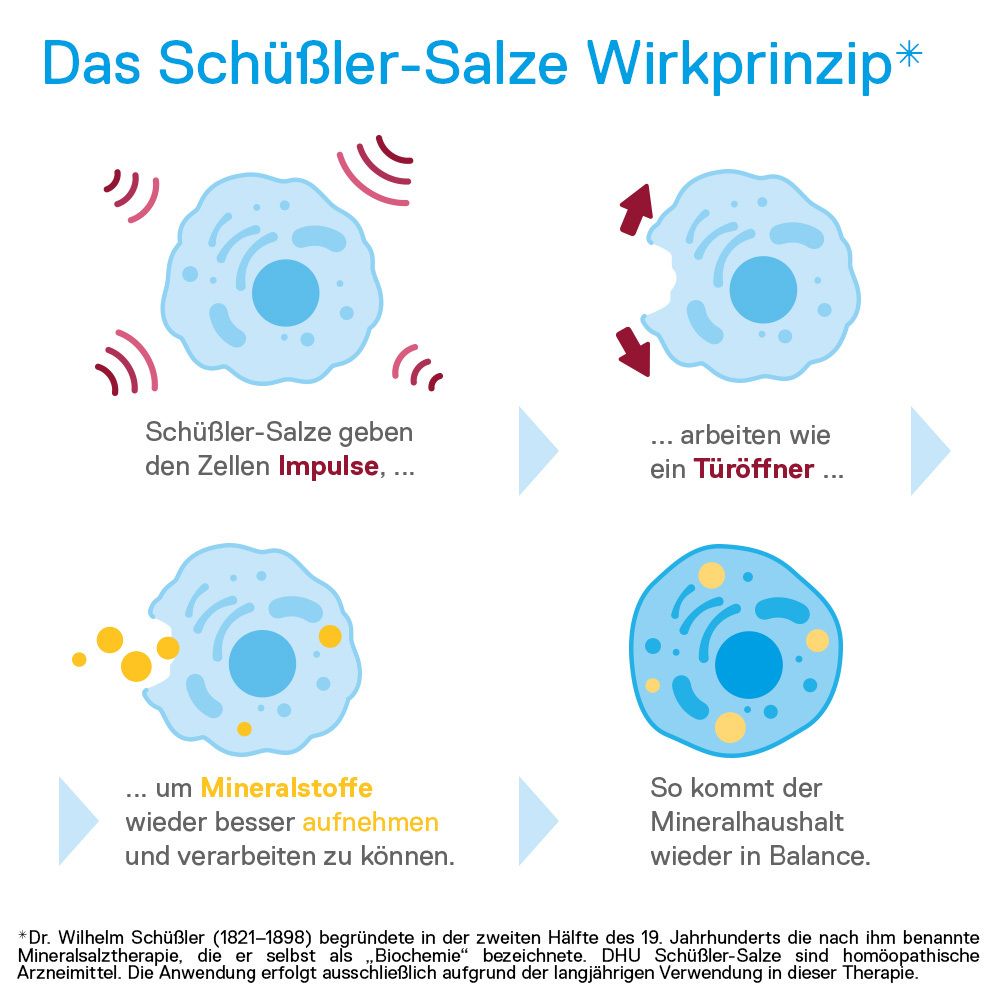 DHU Schüßler-Salz Nr. 9® Natrium phosphoricum D6