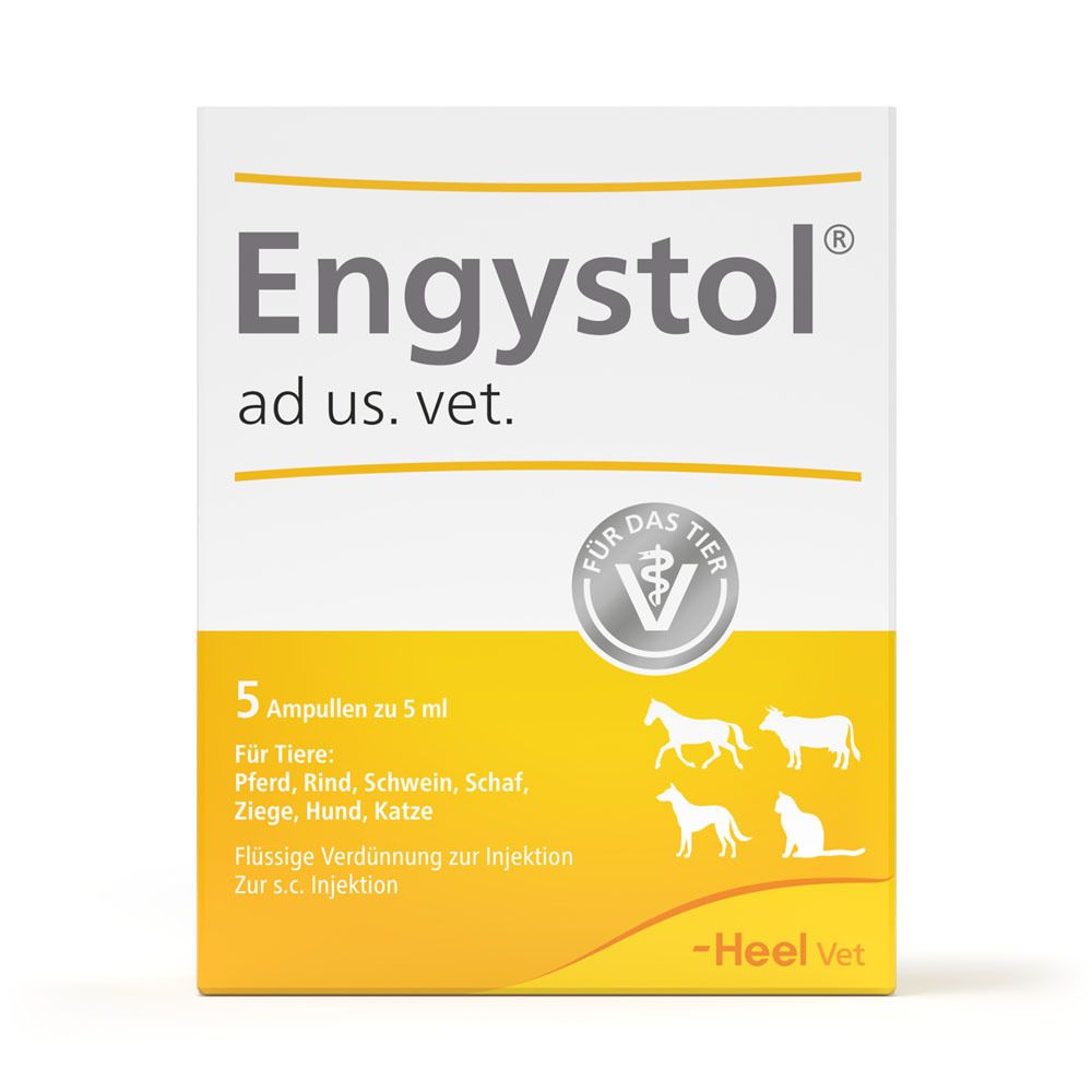 Verpackung von Engystol ad us. vet. mit 5 Ampullen. Aufdrucke: Für Tiere, Pferd, Rind, Schwein, Schaf, Ziege, Hund, Katze. Heel Vet.