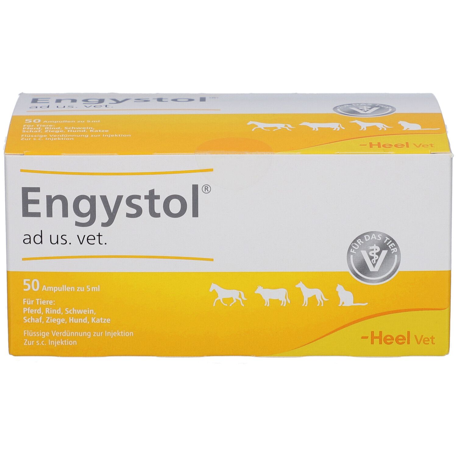 Karton "Engystol ad us. vet.". Enthält 50 Ampullen. Gelb-weiße Verpackung mit Tier-Silhouetten und Produktnamen.