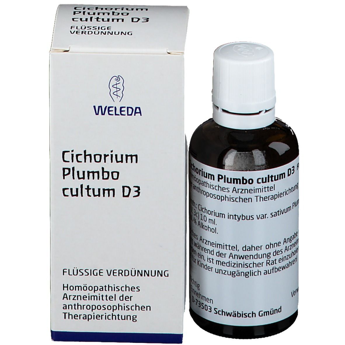 Cichorium Plumbo Cultum D3 Dilution