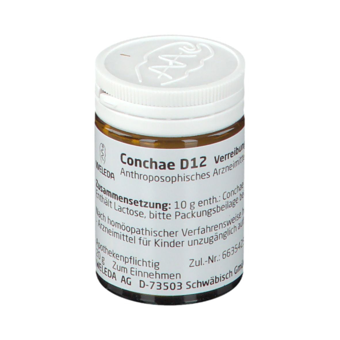 Conchae D12 Trituration