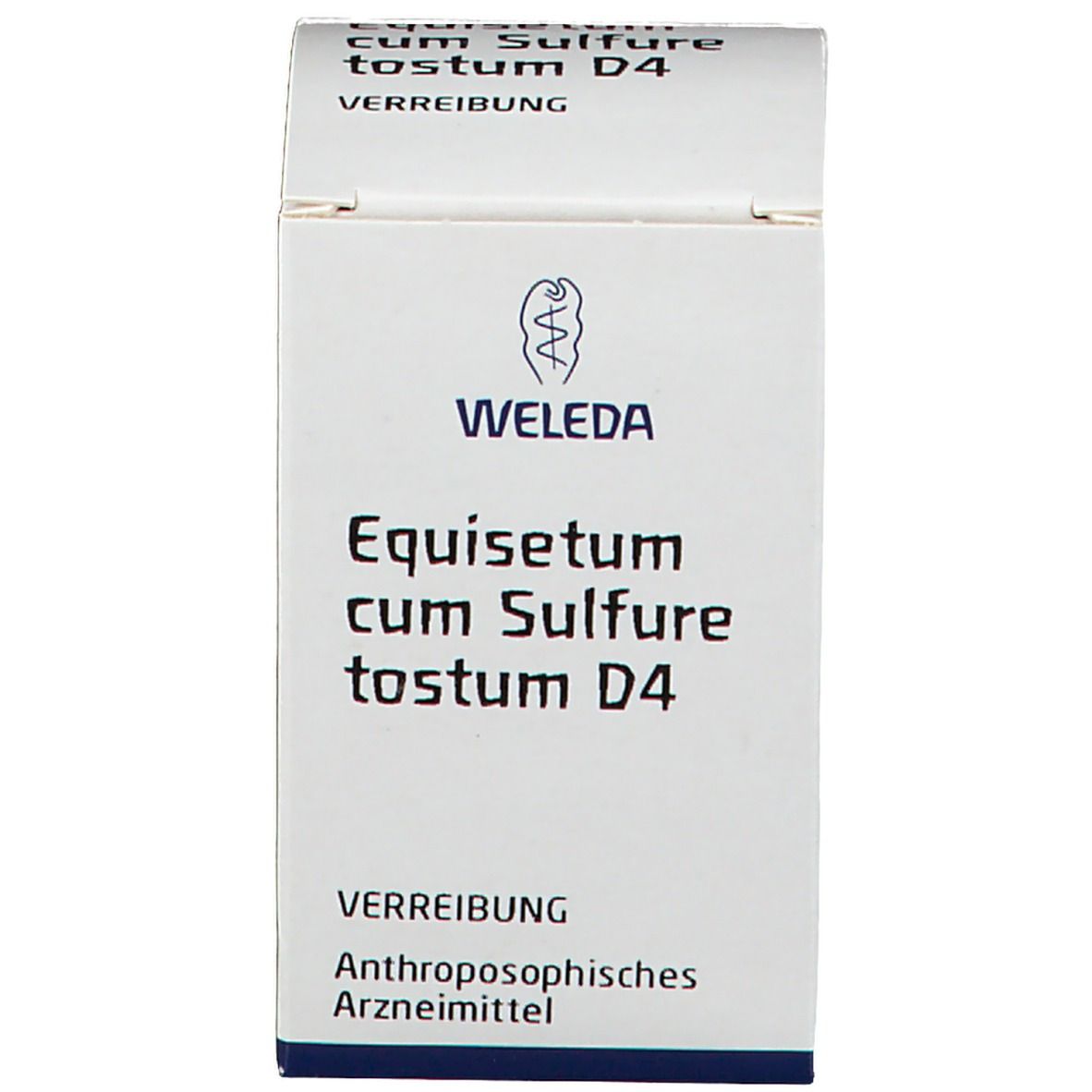 Equisetum Cum Sulfure Tostum D4