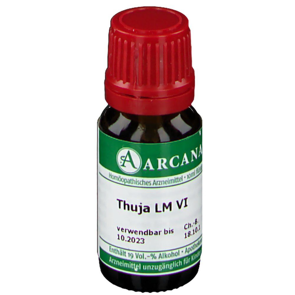 Thuja Arcana LM 6 Dilution