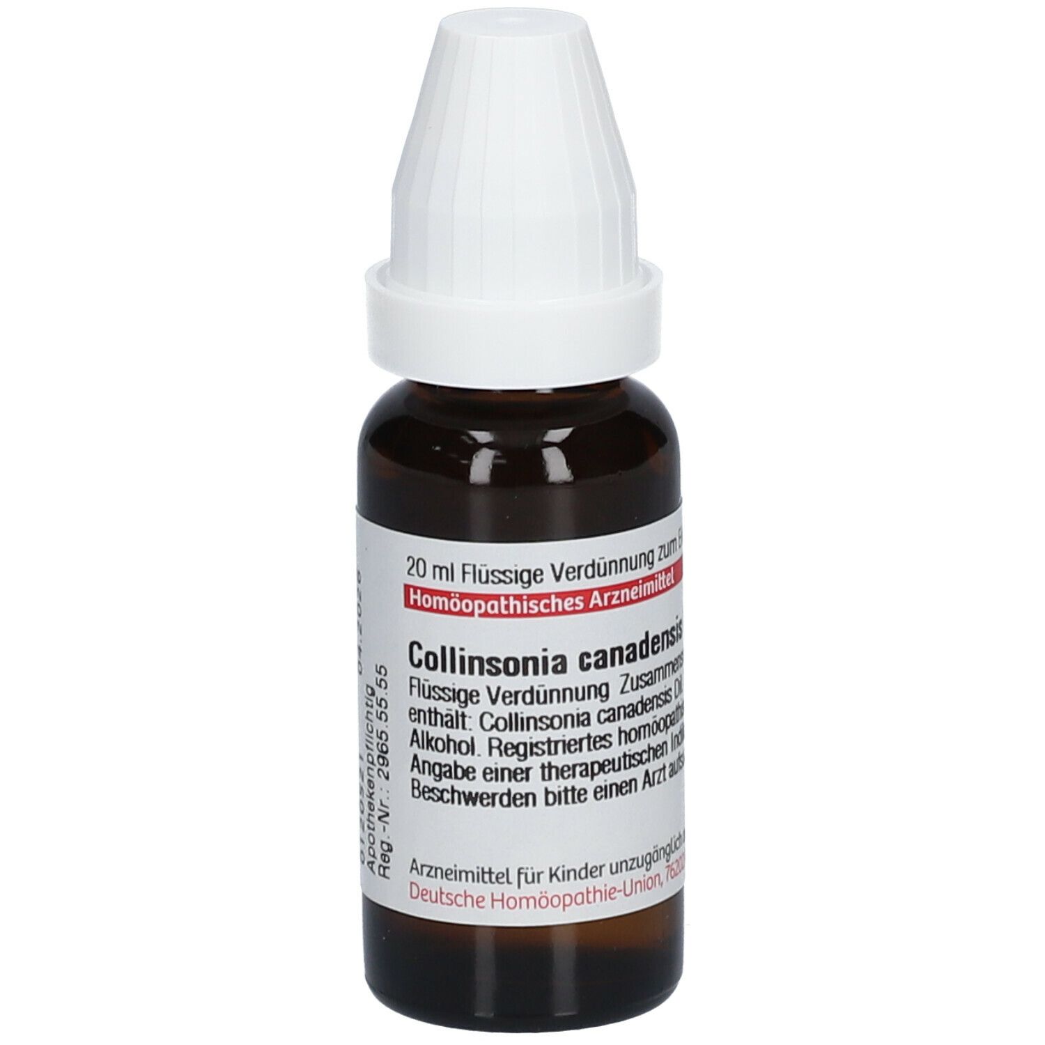 DHU Collinsonia Canadensis D4