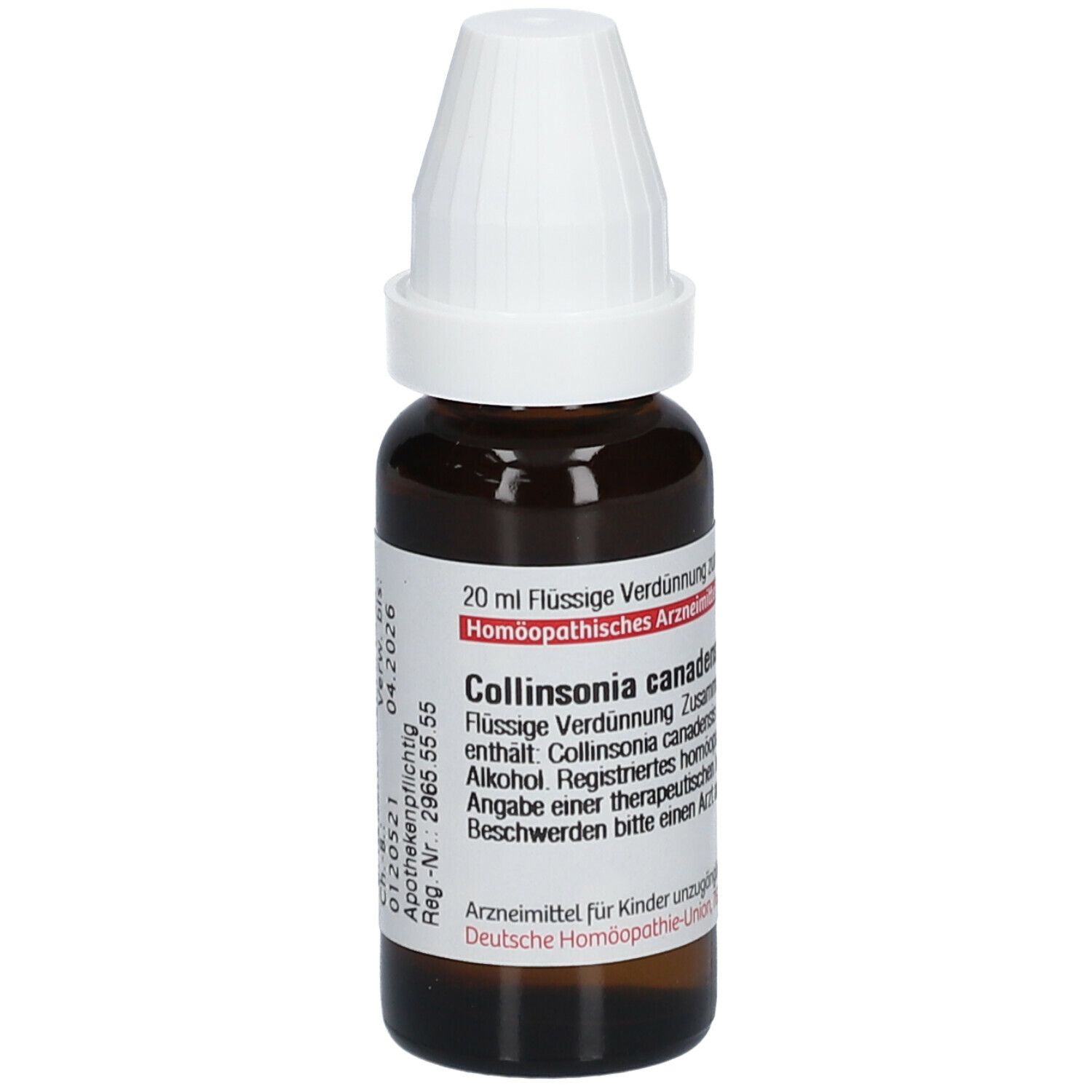 DHU Collinsonia Canadensis D4