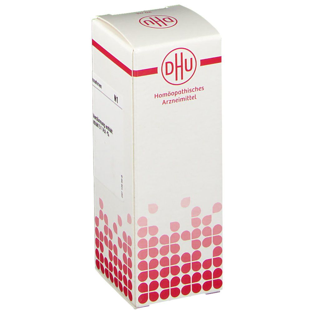 DHU Equisetum Hiemale D2