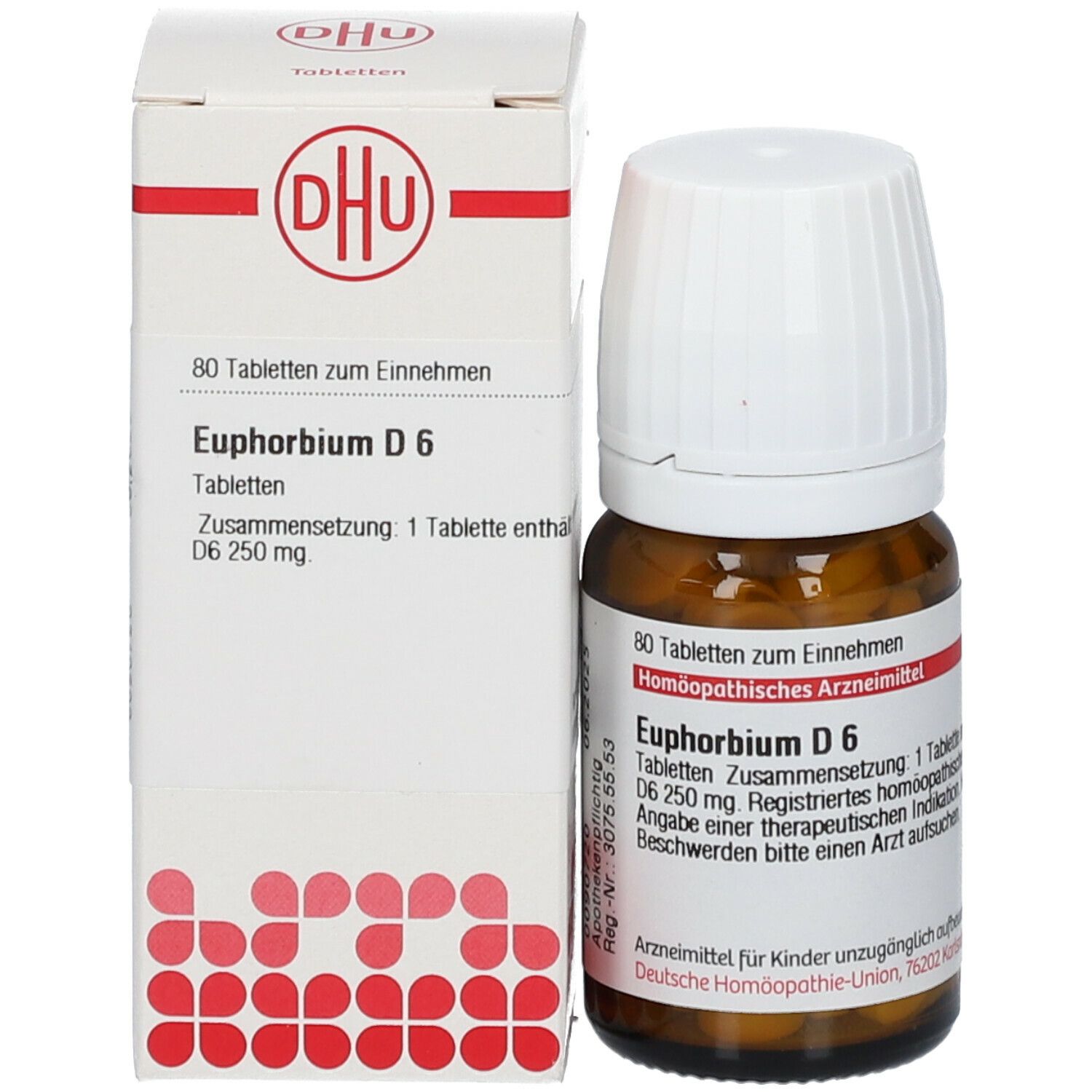 Braune Glasflasche mit weißem Deckel und Karton. Aufschrift: Euphorbium D6, 80 Tabletten. Homöopathisches Arzneimittel.