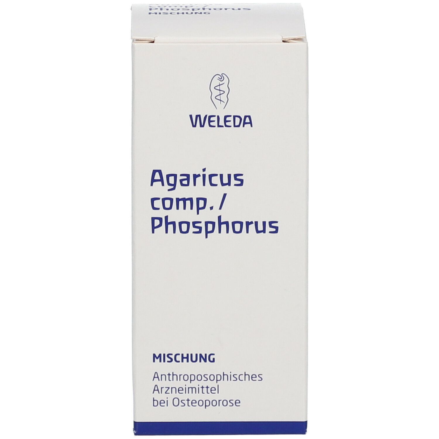 Agaricus comp. / Phosphorus