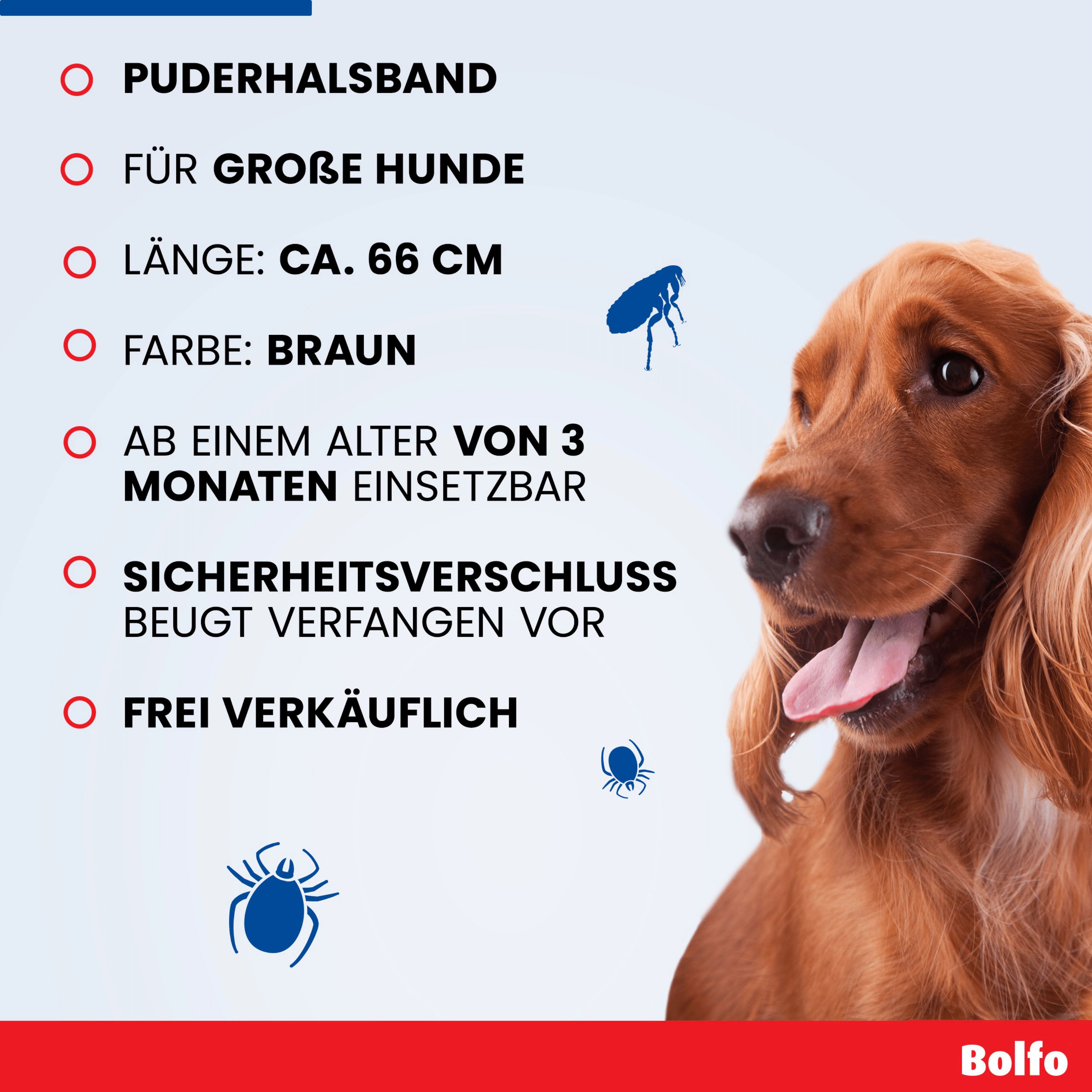 Infografik: Bolfo Zecken- und Flohschutzband. Informationen zu Länge, Farbe, Alter, Sicherheitsverschluss und Freiverkäuflichkeit.