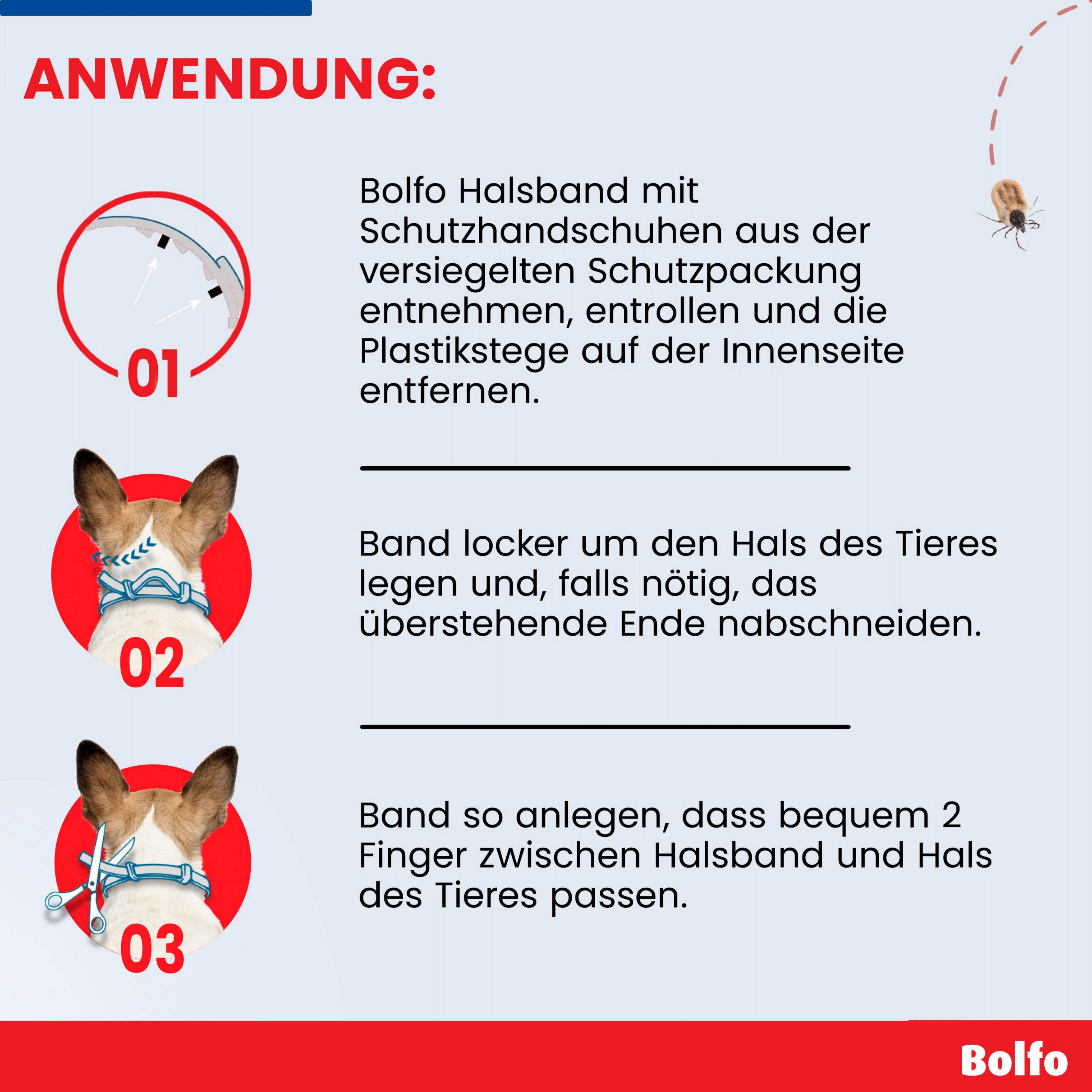 Anleitung zur Anwendung des Bolfo Halsbandes. Schritt-für-Schritt-Anleitung mit Illustrationen.