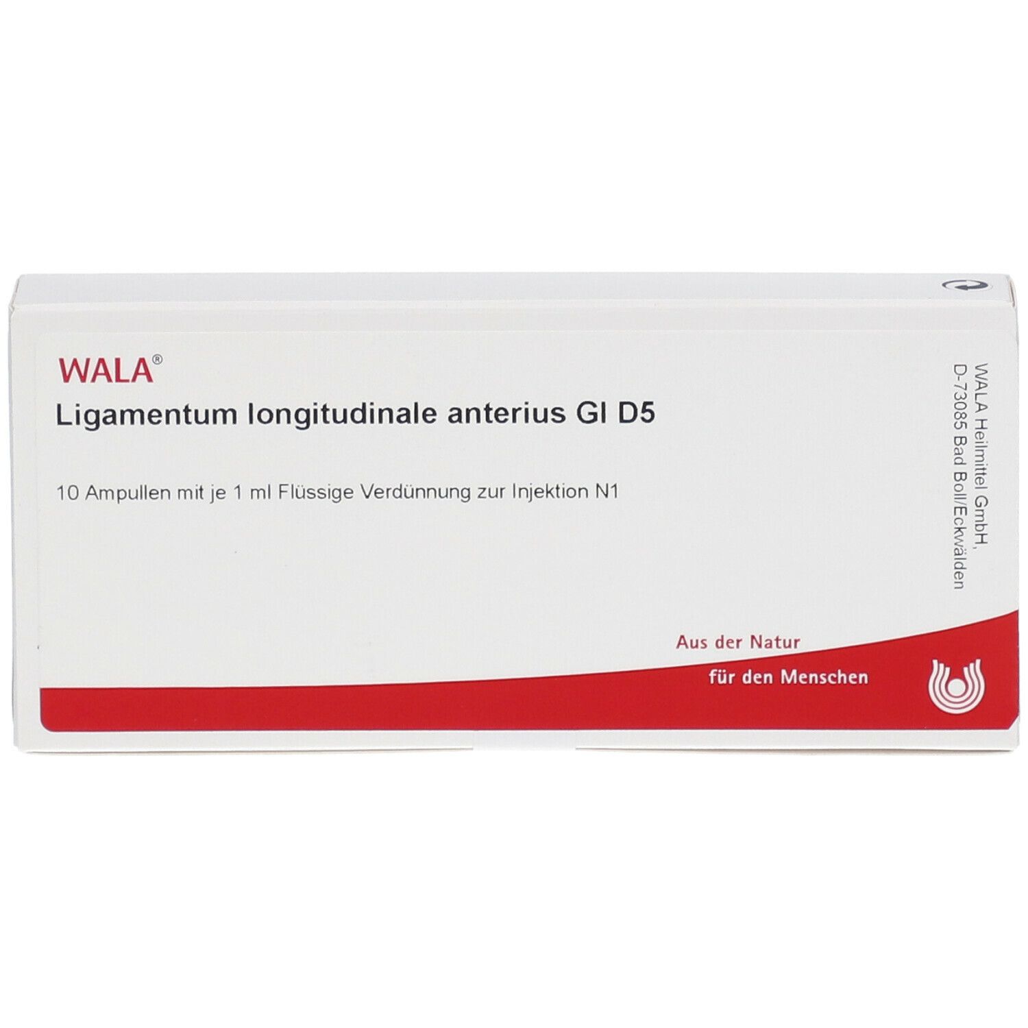 WALA® Ligamentum longitudinale anterius Gl D 5