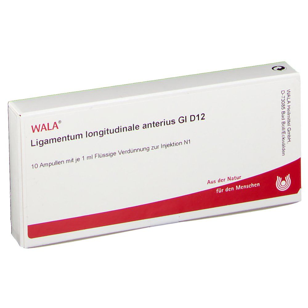 WALA® Ligamentum longitudinale anterius Gl D 12