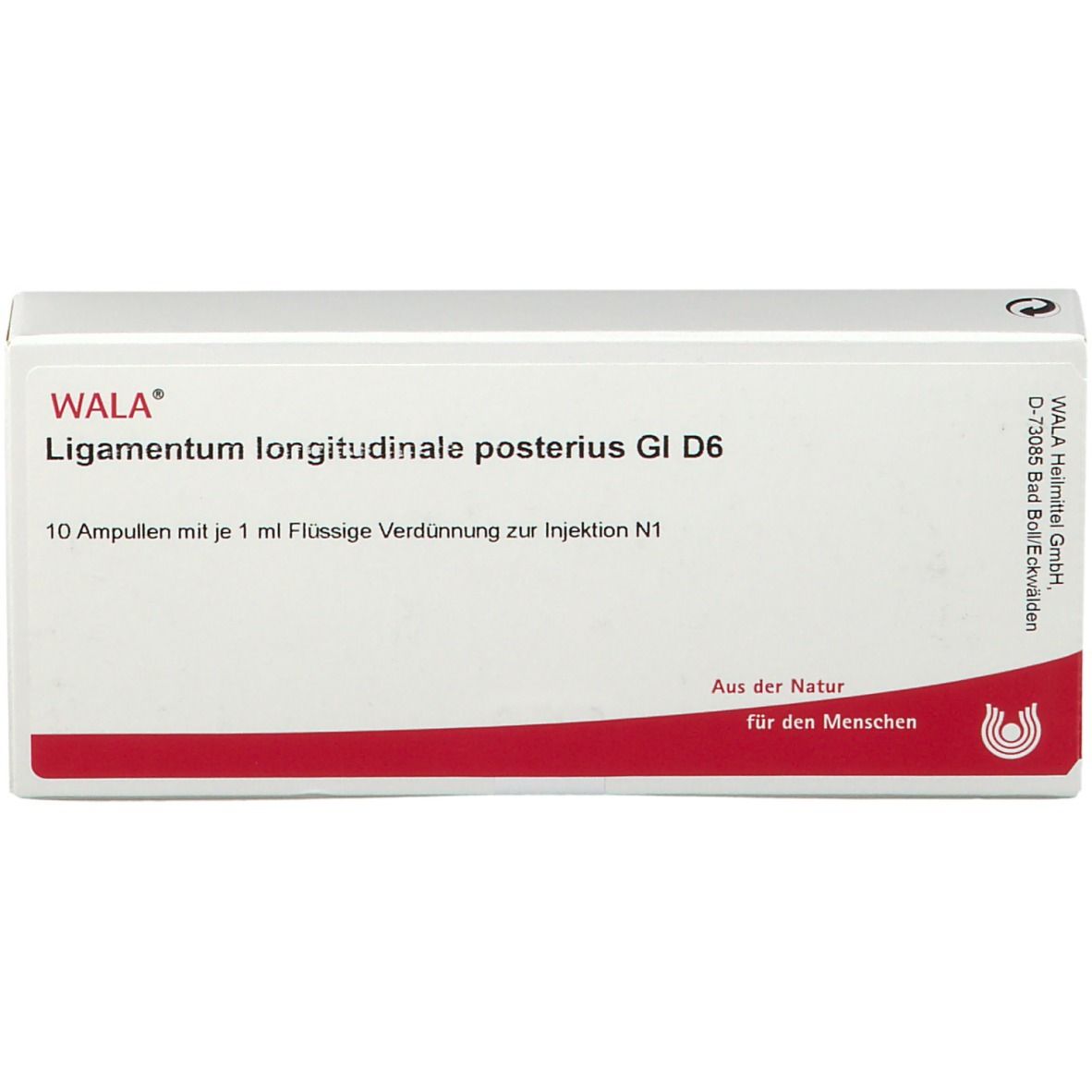 Wala® Ligamentum longitudinale posterius Gl D 6
