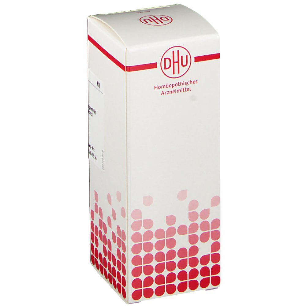 Weiße Faltschachtel mit rotem DHU-Logo. Aufschrift: Homöopathisches Arzneimittel. Roter Zierstreifen am oberen Rand.