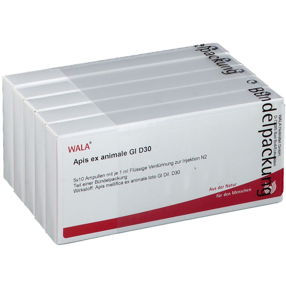 Verpackung mit Ampullen. Aufschrift: WALA Apis ex animale Gl D30. 5x10 Ampullen. Rote und weiße Verpackung.
