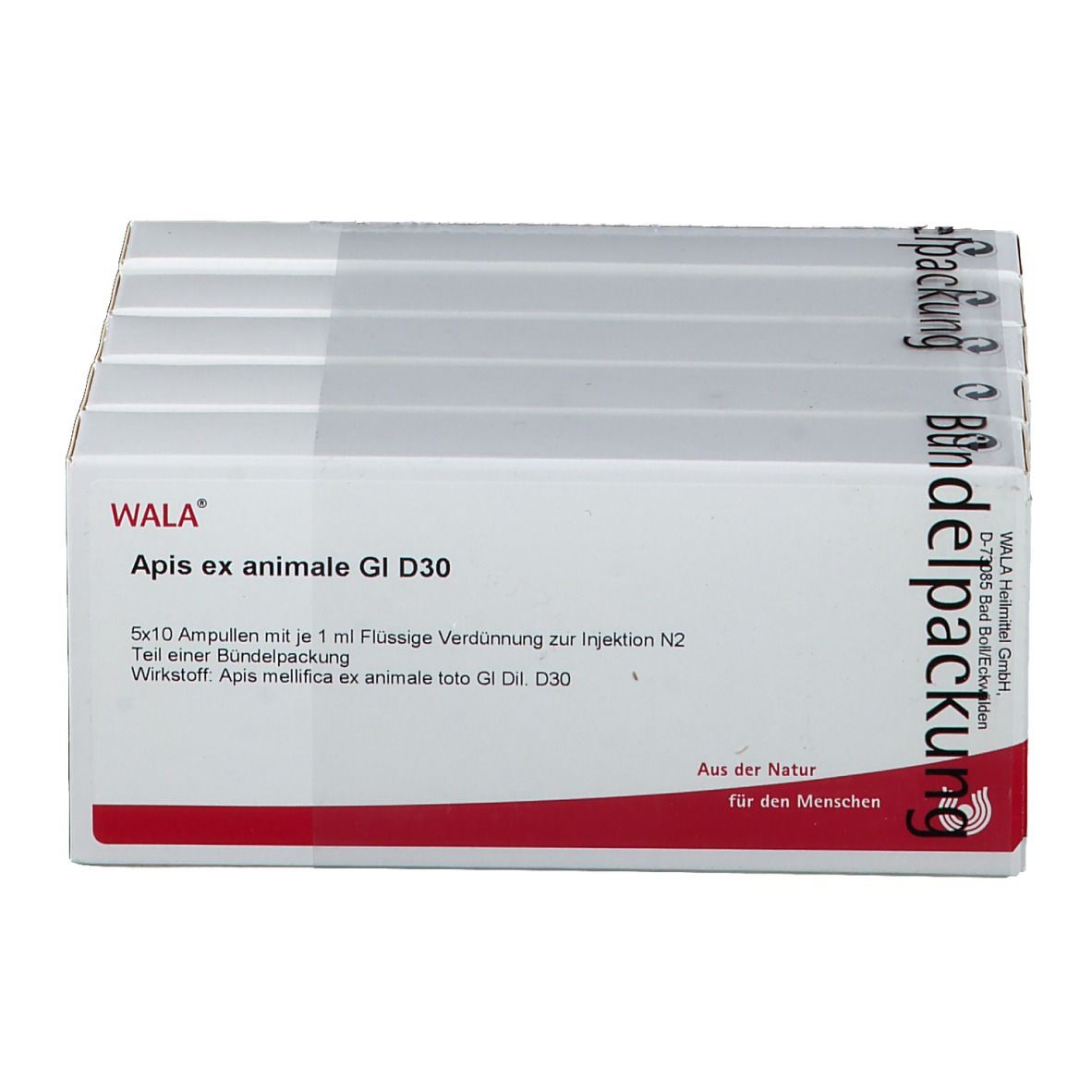 Verpackung mit Ampullen. Aufschrift: WALA Apis ex animale Gl D30. 5x10 Ampullen. Rote und weiße Verpackung.